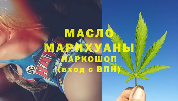 СК Ельня