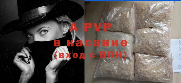 СК Ельня