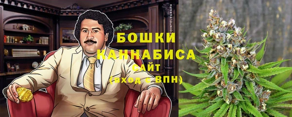 СК Ельня