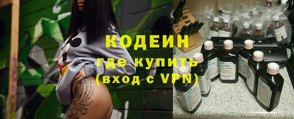 СК Ельня