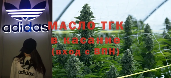 СК Ельня