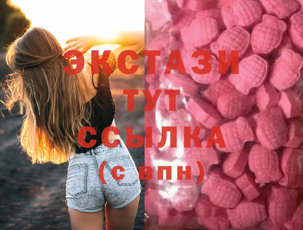 СК Ельня