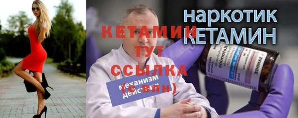 СК Ельня