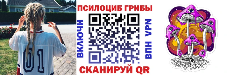 Галлюциногенные грибы мицелий  mega ONION  Чухлома  где можно купить  